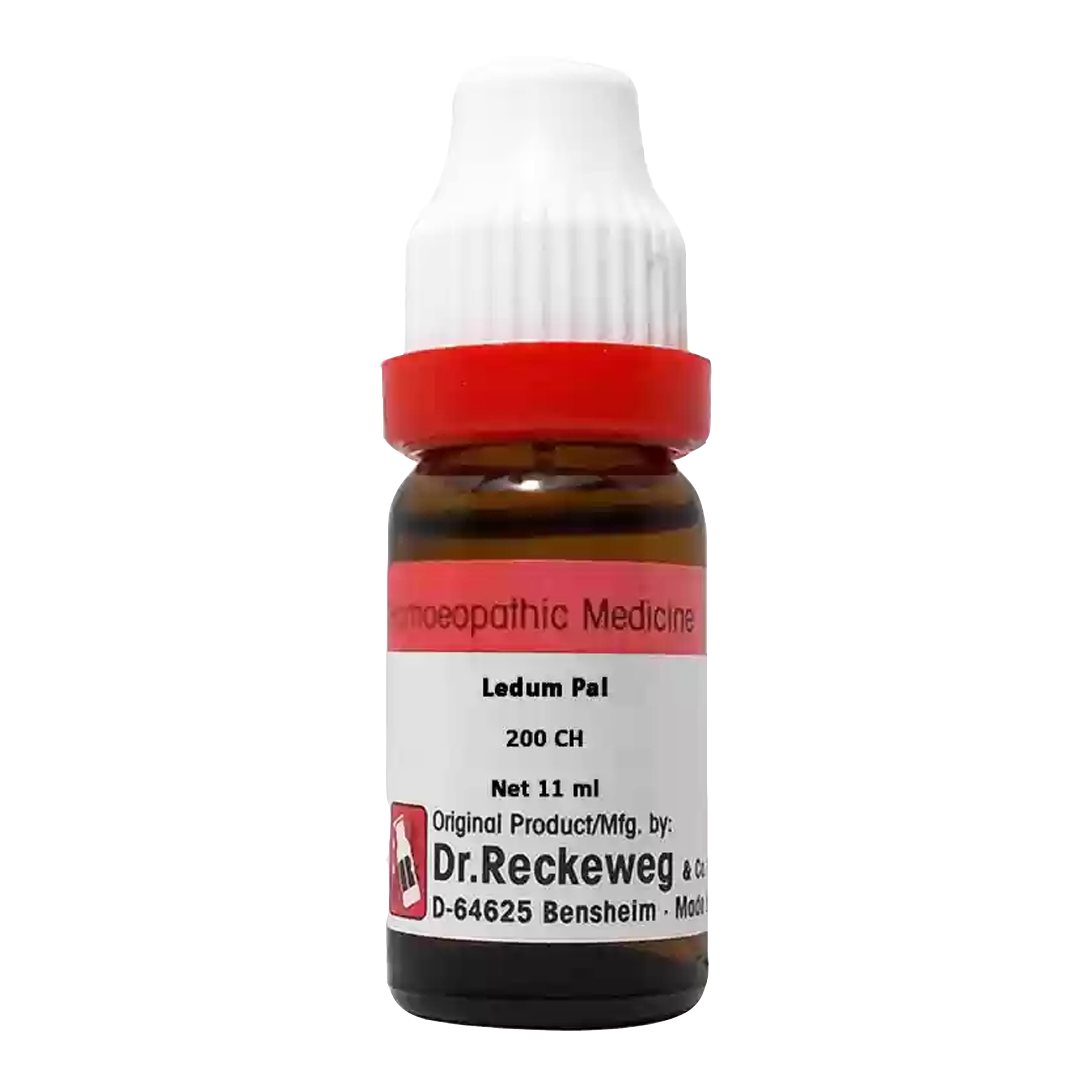 Ledum Pal 200, 11ml - Dr. Reckeweg