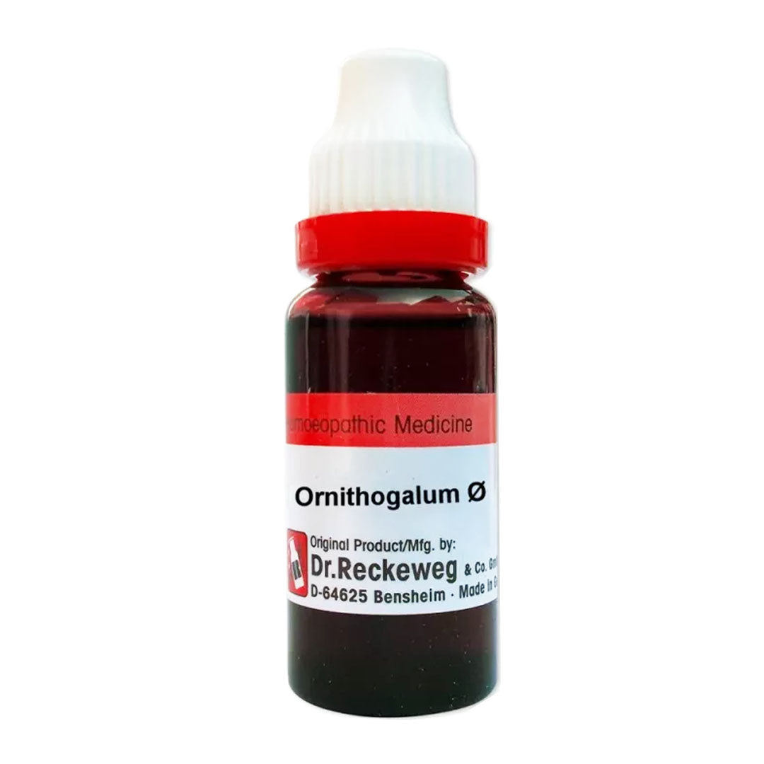 Ornithogalum Umbellatum Q Mother Tincture, 20ml - Dr. Reckeweg