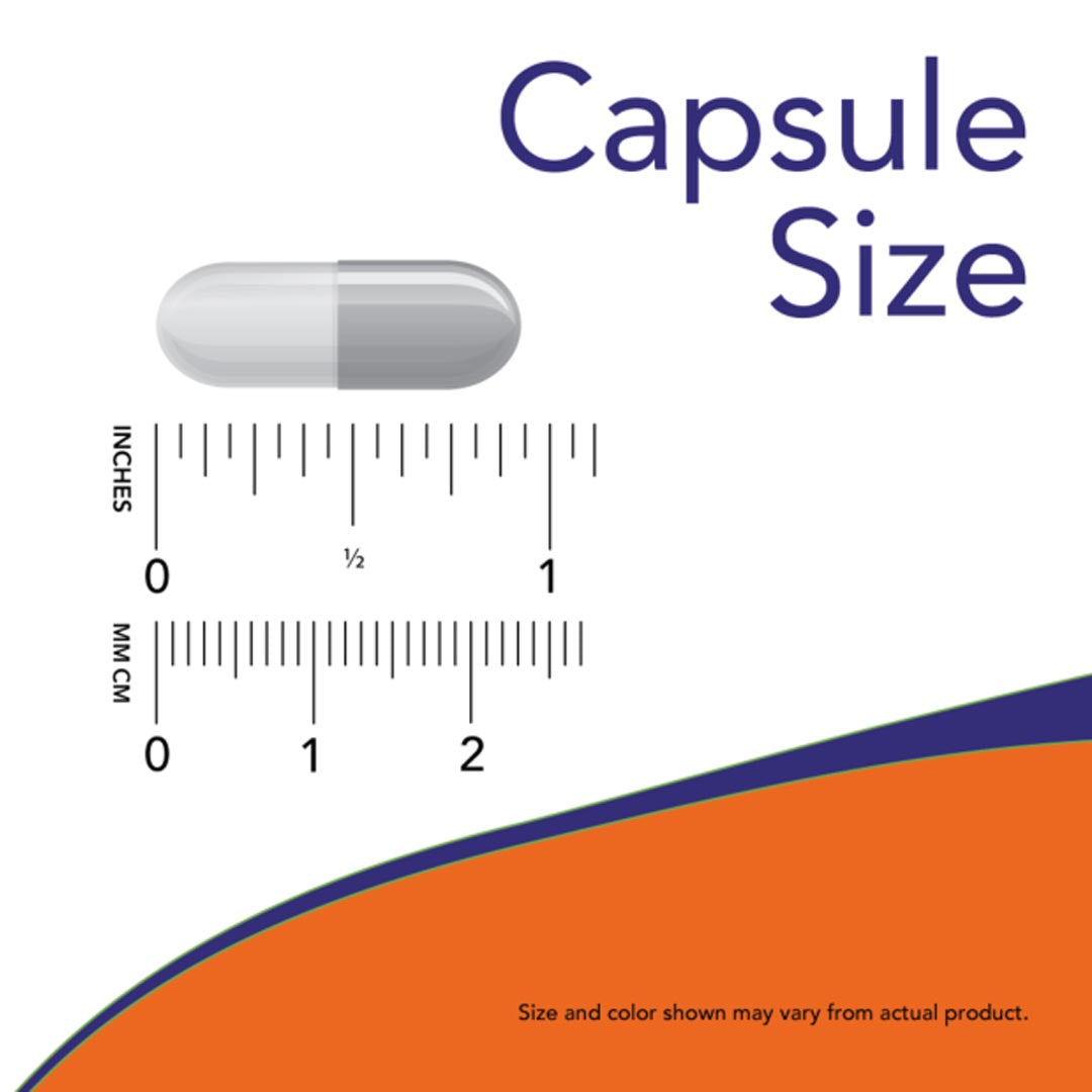 NOW L-Carnosine 500mg, 50 Ct