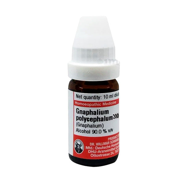 Gnaphalium Polycephalum Dilution 200, 10ml - Dr. Schwabe - My Vitamin Store