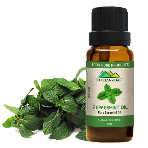 Peppermint Essential Oil - Chiltan Pure - My Vitamin Store