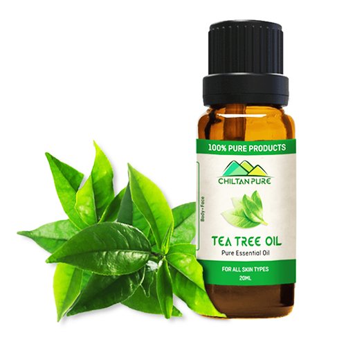 Tea Tree Essential Oil - Chiltan Pure - My Vitamin Store