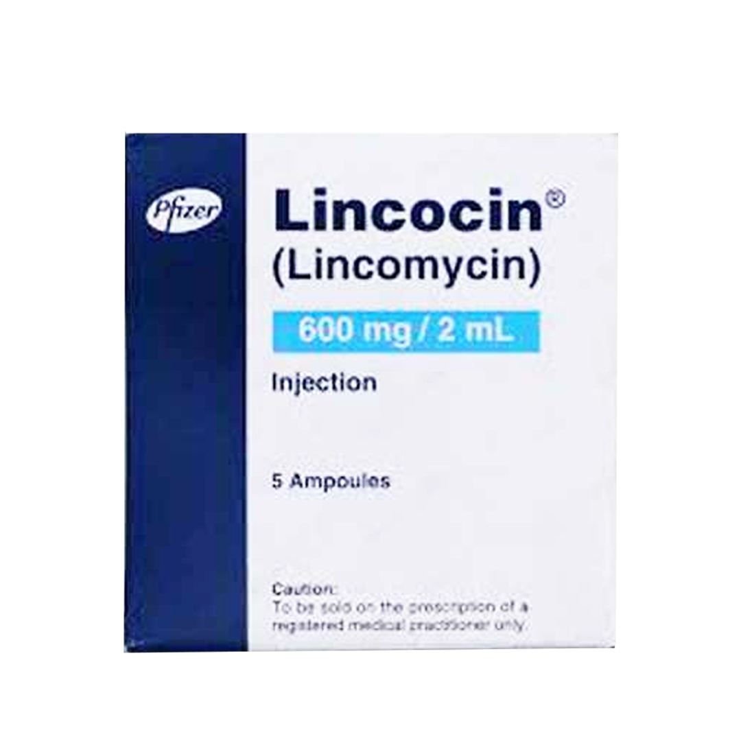 Pfizer Lincocin (Lincomycin) Injection 600mg/2ml, 5 Ampoules