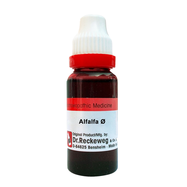 Alfalfa Ø, 20ml - Dr. Reckeweg