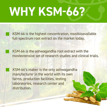 Applied Nutrition KSM-66 Ashwagandha, 60 Ct