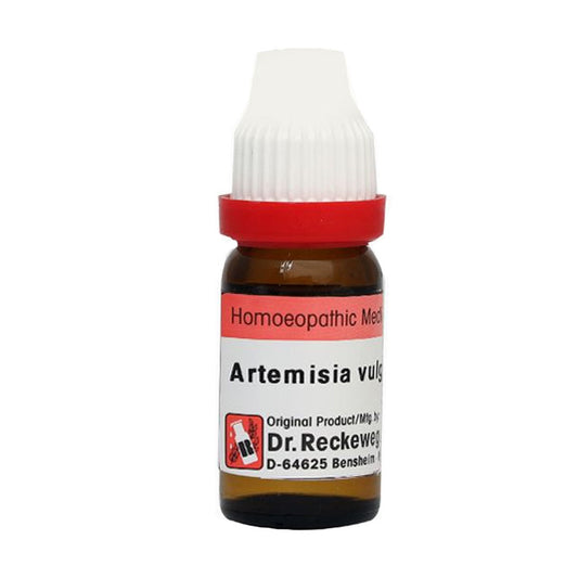 Artemisia Vulgaris, 20ml - Dr. Reckeweg