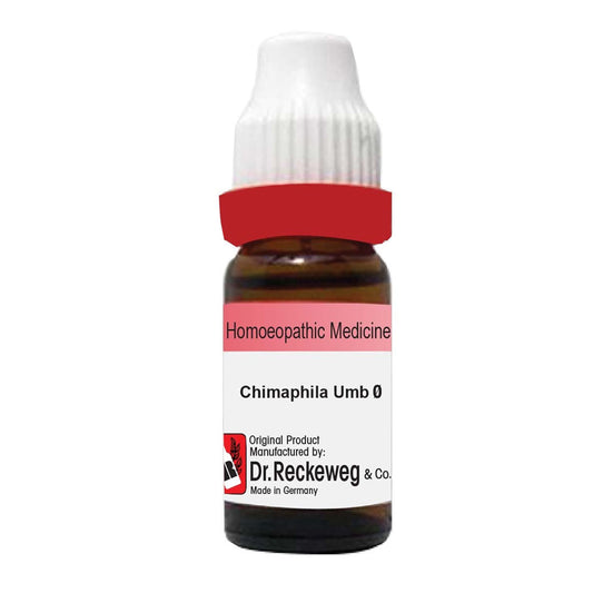 Chimaphila Umbellata Mother Tincture Q, 20ml - Dr. Reckeweg