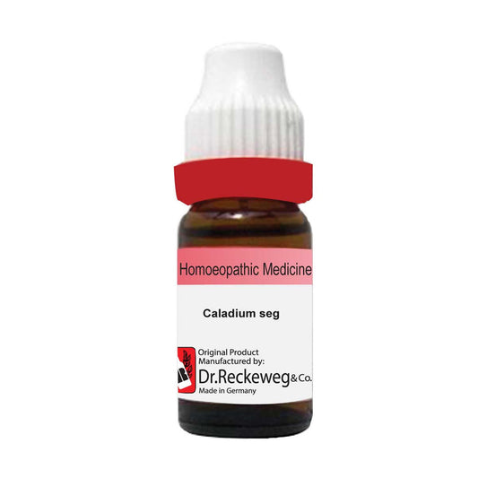 Dr. Reckeweg Caladium Seguinum Q, 20ml