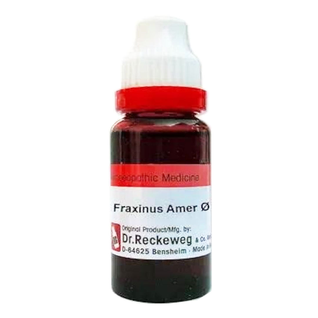 Fraxinus Americana Q, 20ml - Dr. Reckeweg