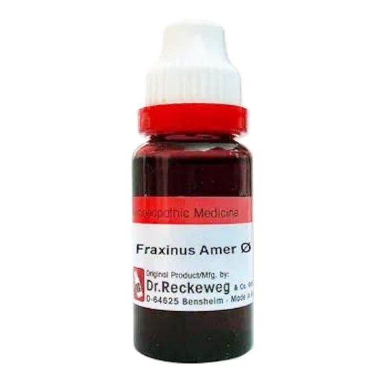 Fraxinus Americana Q, 20ml - Dr. Reckeweg