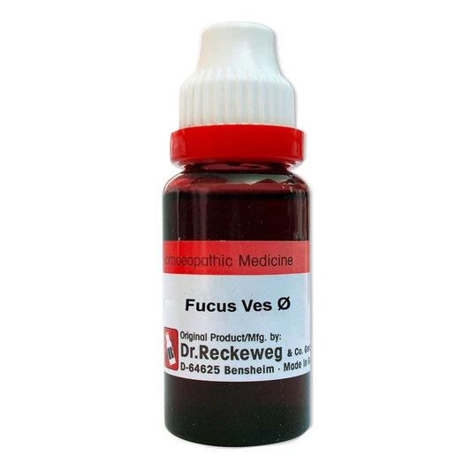 Fucus Vesiculosus Q Mother Tincture, 20ml - Dr. Reckeweg