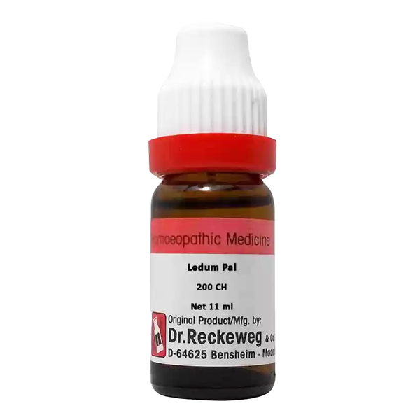 Ledum Pal 200, 11ml - Dr. Reckeweg