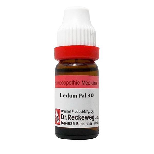 Ledum Pal 30, 11ml - Dr. Reckeweg