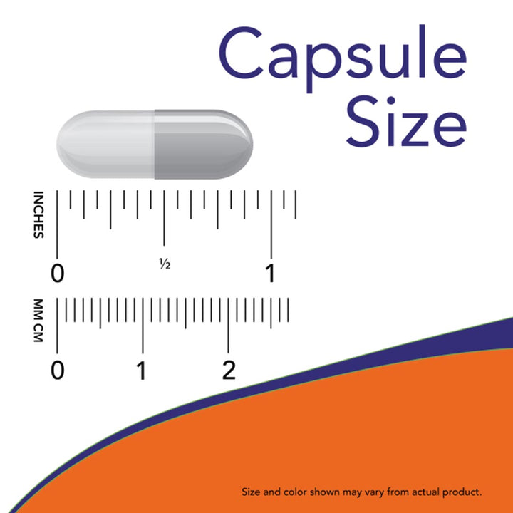 NOW Cat's Claw 500mg Capsule Size