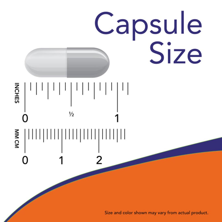 NOW Ginger Root 550mg Capsule Size