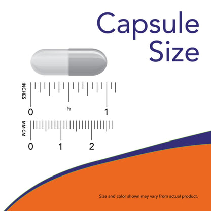 NOW Grape Seed Extract Maximum Strength 500mg Capsule Size