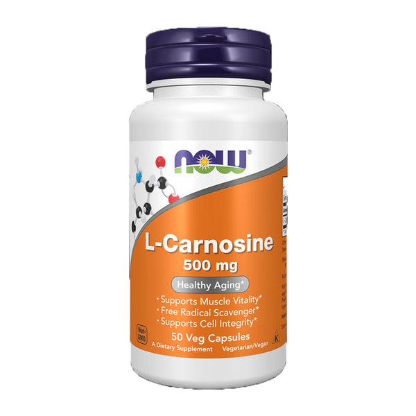 NOW_L-Carnosine_500mg_50_Ct