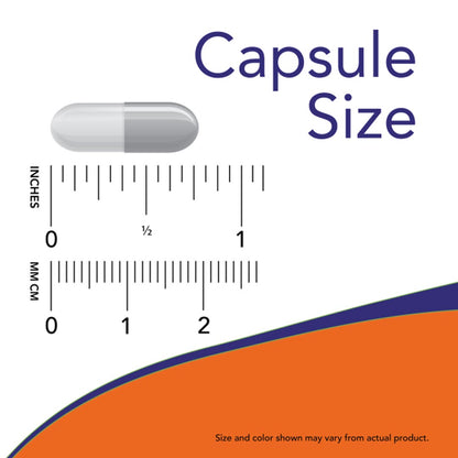 NOW NADH 10mg, 60 Ct