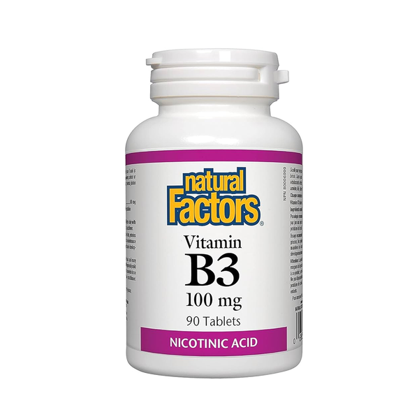 Natural Factors Vitamin B3 100mg, 90 Ct