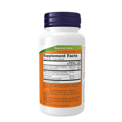 Now Bilberry Extract, 100 Ct