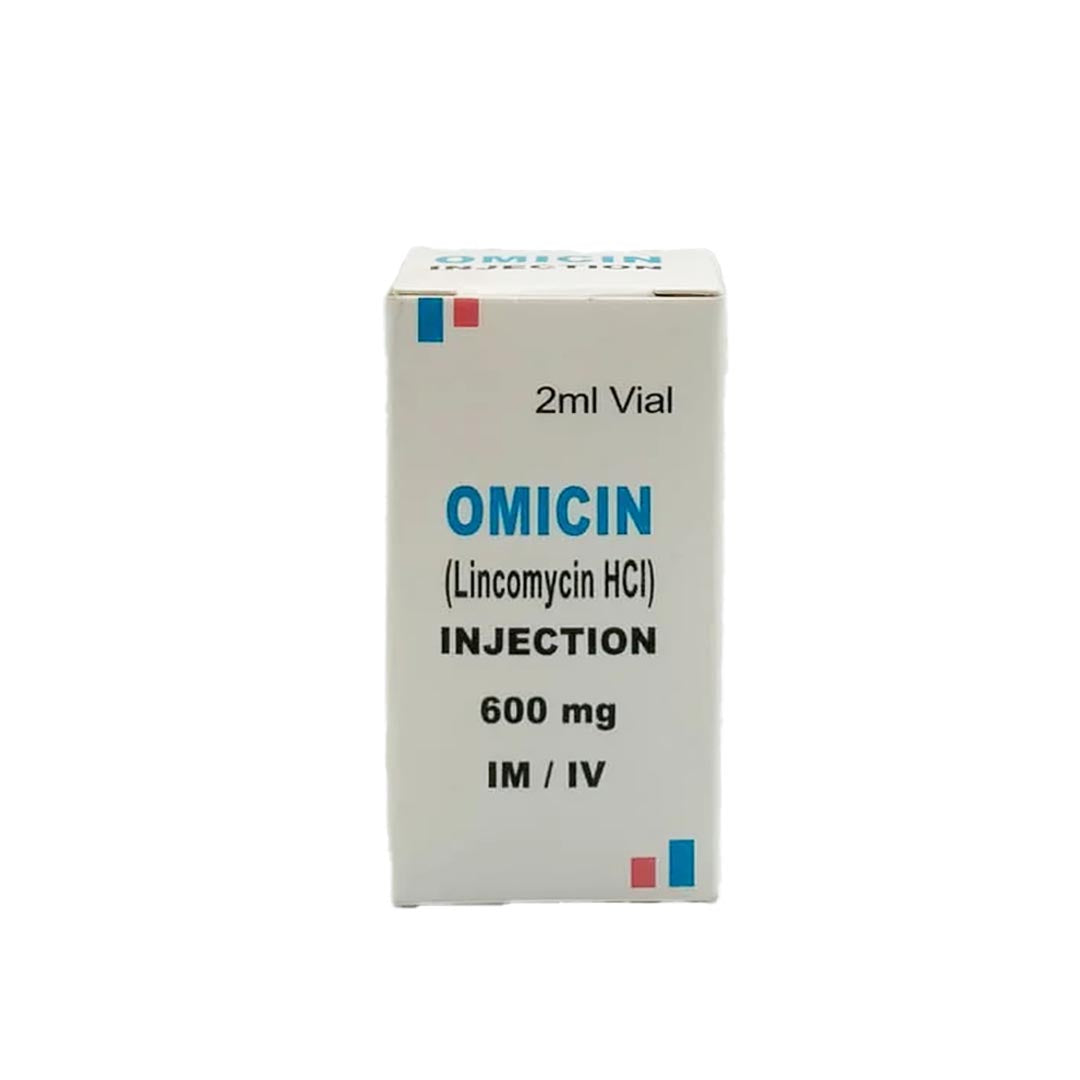 Buy SJG Pharma Omicin Inj IM/IV 600mg, 1 Ct Online in Pakistan | My ...