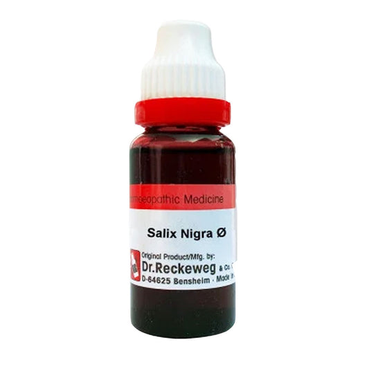 Salix Nigra Q Mother Tincture, 20ml - Dr. Reckeweg