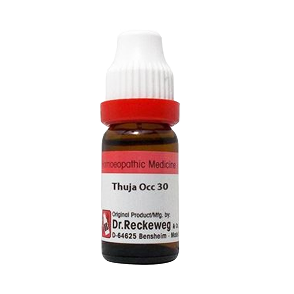 Thuja Occidentalis 30, 11ml - Dr. Reckeweg