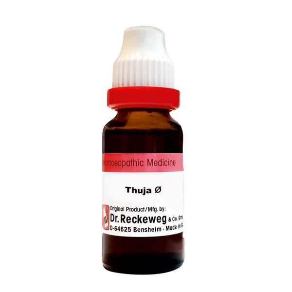 Thuja Occidentalis Ø, 20ml - Dr. Reckeweg