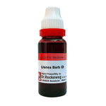 Usnea Barbata Q Mother Tincture, 20ml - Dr. Reckeweg