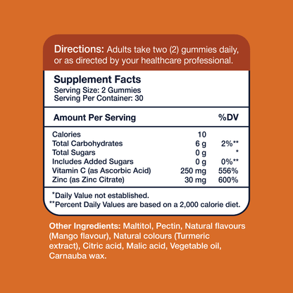 Gumvits Zinc + Vitamin C Gummies, 60 Ct