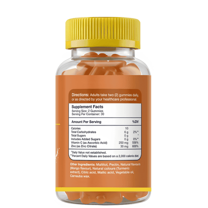 Gumvits Zinc + Vitamin C Gummies, 60 Ct