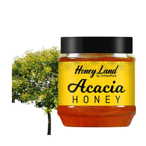 Acacia Honey 450g - Chiltan Pure - My Vitamin Store