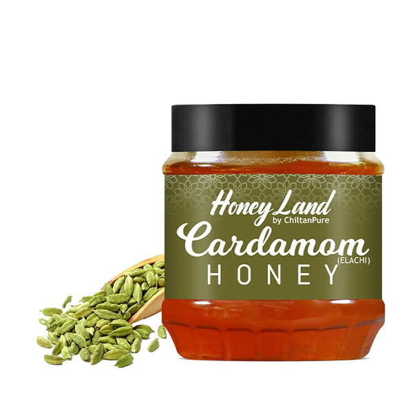 Cardamom Honey 450g - Chiltan Pure - My Vitamin Store