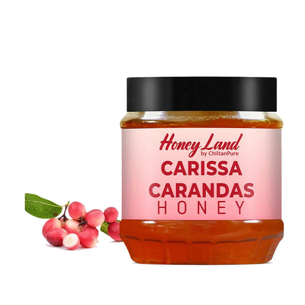 Carissa Carandas Honey 450g - Chiltan Pure - My Vitamin Store