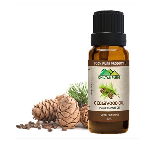 Cedarwood Essential Oil - Chiltan Pure - My Vitamin Store
