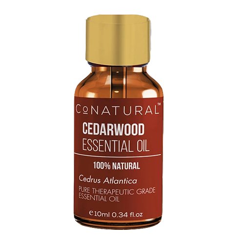 Cedarwood Essential Oil - CoNatural - My Vitamin Store