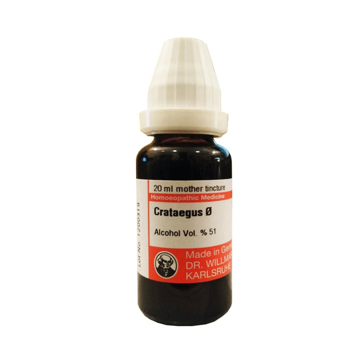 Crataegus Mother Tincture - Dr. Schwabe - My Vitamin Store