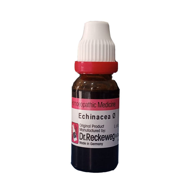 Echinacea Q - Dr. Reckeweg - My Vitamin Store