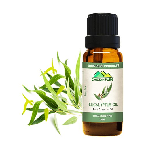 Eucalyptus Essential Oil - Chiltan Pure - My Vitamin Store