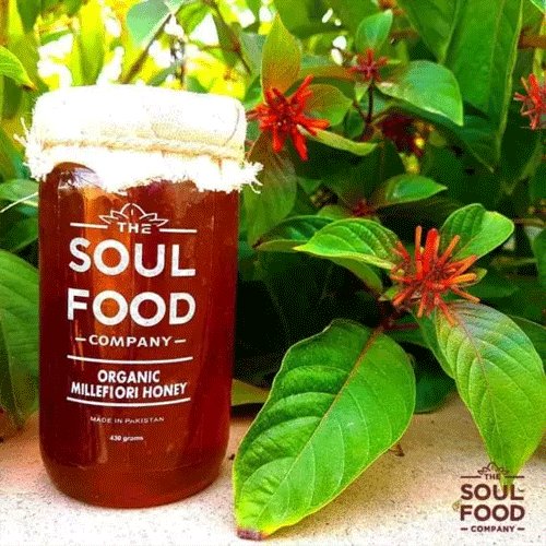 Organic Millefiori Honey 485g - The Soul Food Company - My Vitamin Store