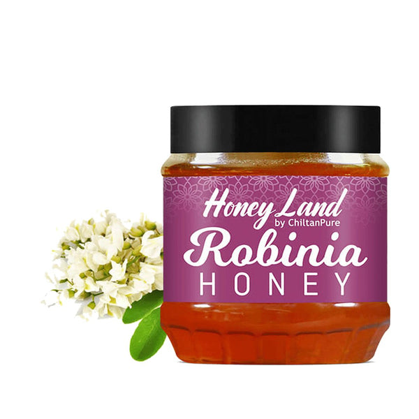 Robinia Honey Pure Organic, 450g - Chiltan Pure - My Vitamin Store