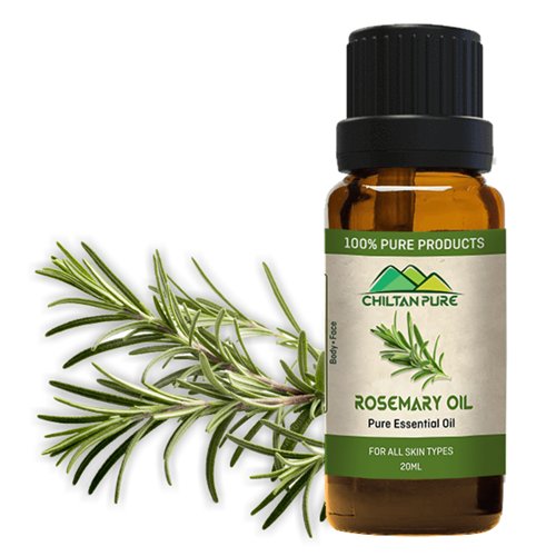 Rosemary Essential Oil - Chiltan Pure - My Vitamin Store