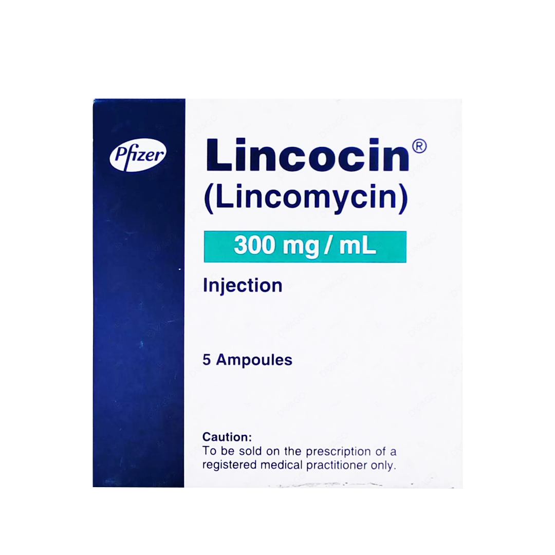 Pfizer Lincocin (Lincomycin) Injection 300mg/ml, 5 Ampoules