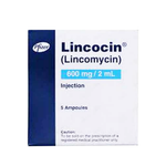 Pfizer Lincocin (Lincomycin) Injection 600mg/2ml, 5 Ampoules