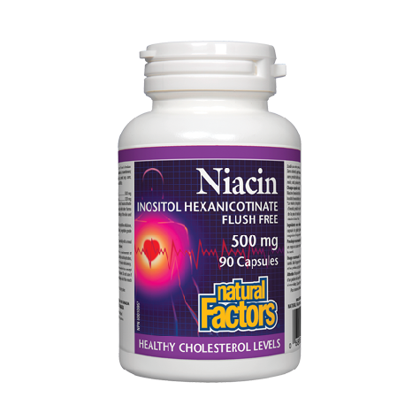 Natural Factors Niacin 500mg Flush Free, 90Ct